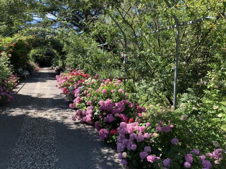 Botnični vrt Sežana, arhiv KSP d.d.